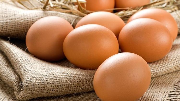 Yumurta üretimi 1.5 milyar adete ulaştı