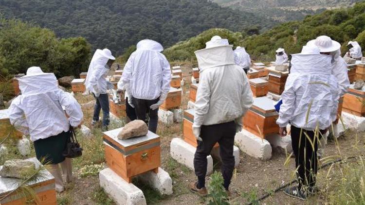 Bornova Belediyesi’nden kovan hediye