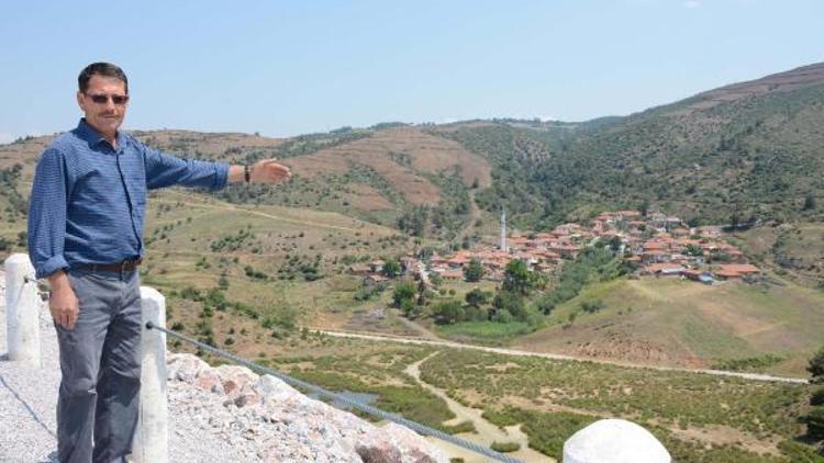 Somada 80 yıllık zeytin ağacı köklenmesi köylüyü öfkelendirdi