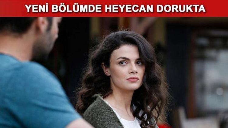 Çoban Yıldızı 15. bölüm fragmanında Seyitin başka çaresi yok