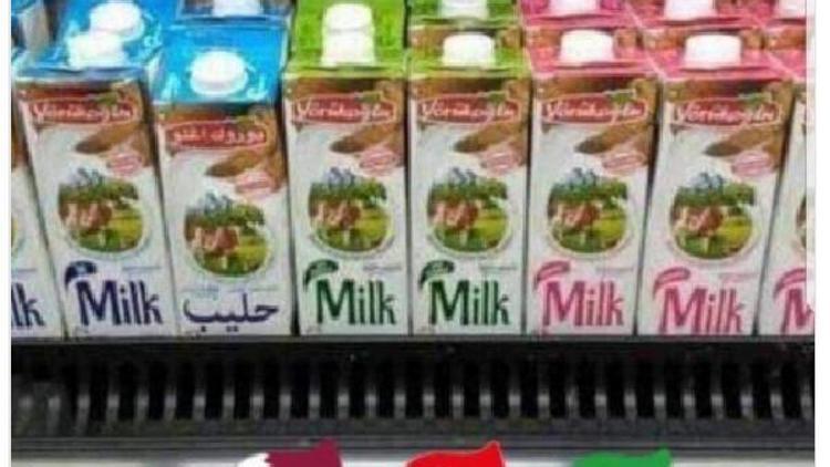Antalyadan Katara süt, yoğurt ve peynir ihracatı