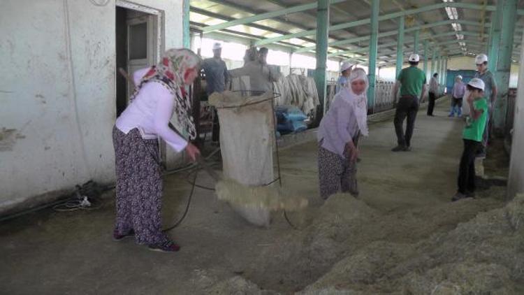 Girişimci kadınlar, besi tesisi kurdu