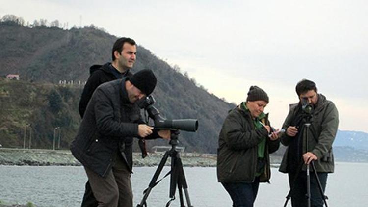 Doğu Karadeniz’de 28 türden 26 bin 826 su kuşu tespit edildi