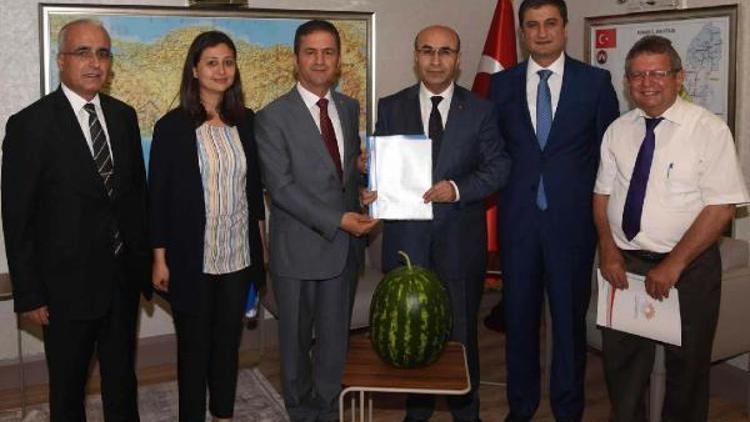 Adana karpuzu markalaşıyor