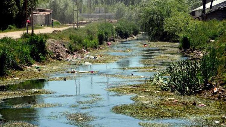 Derelere atılan çöpler Van Gölünü kirletiyor