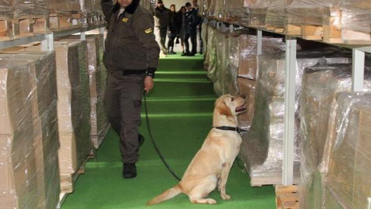 Bomba köpekleri artık ‘ulusal’ sertifikalı