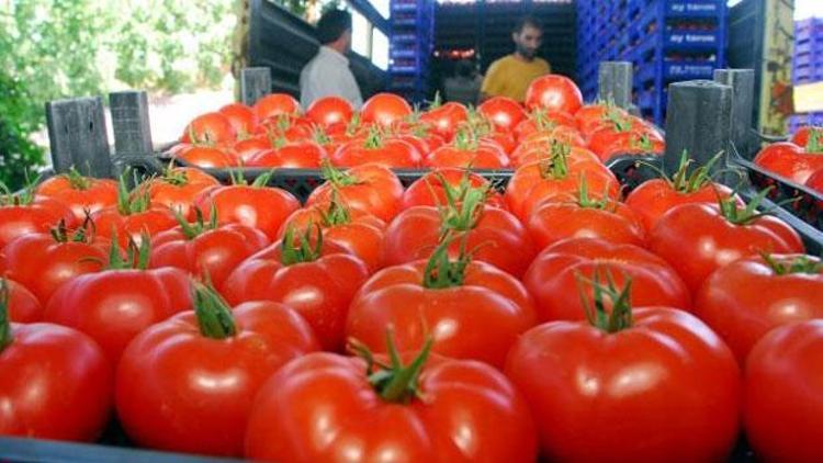 Rusyaya yaş meyve sebze ihracatında lider: Trabzon