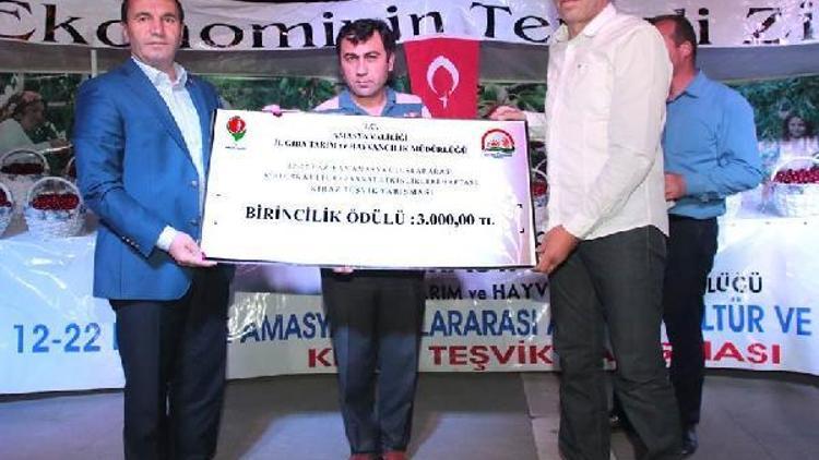 Amasya’da kiraz teşvik yarışması