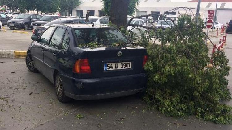 Ağaçtan kopan dal otomobilin camını kırdı