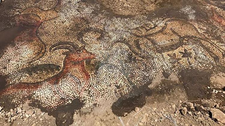 Tarlada çalışırken 1600 yıllık mozaik buldular