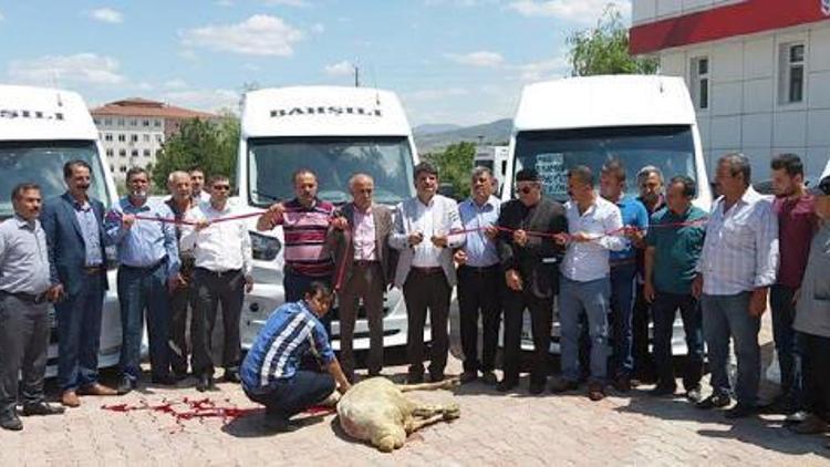 Bahşılıda yeni hatta giren minibüsçüler kurban kesti