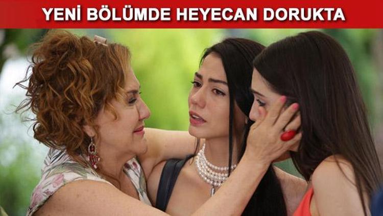 No: 309 53. bölüm fragmanında Lale ve Onur kolları sıvıyor