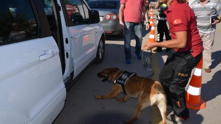 Bandırma İDO iskelesinde köpekli arama