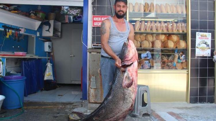 Tunca Nehrinden 2 metre 22 santimlik yayın balığı yakaladı