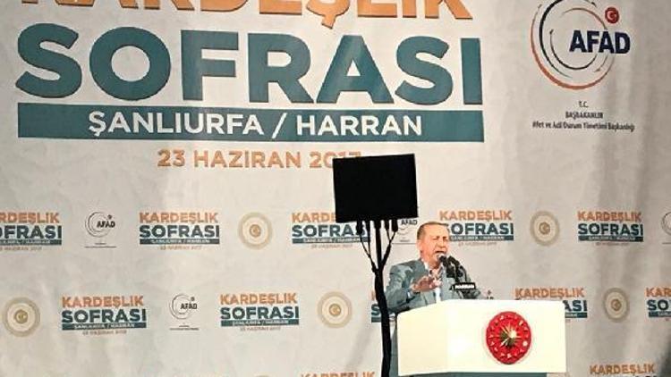 Erdoğan: Rabiayı Kılıçdaroğlu ve Kandilin atıkları bilmez (3)