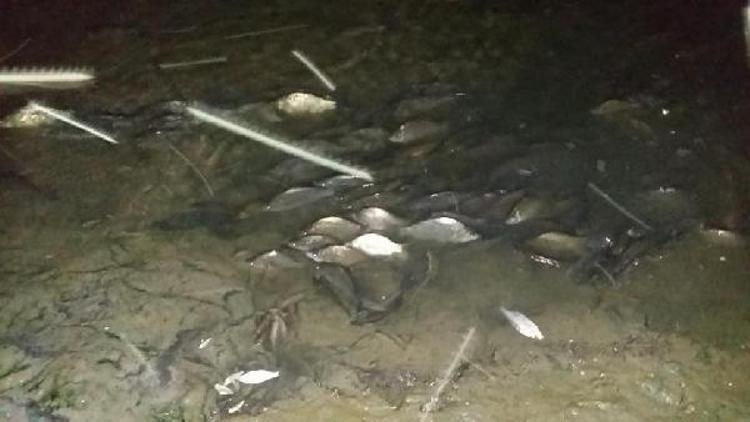 Karacabey’de korkutan balık ölümleri