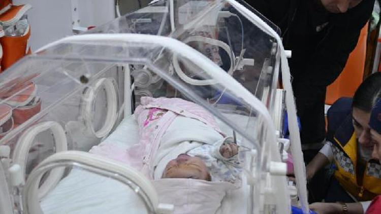 Sokakta bulunan bebek hastanede öldü