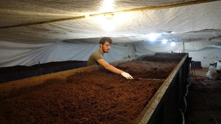 Gübre üretmek isteyenler için ‘Solucan Oteli’ açtı