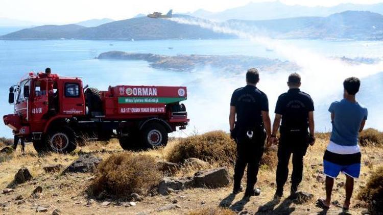 Bodrumda, makilik alanda korkutan yangın