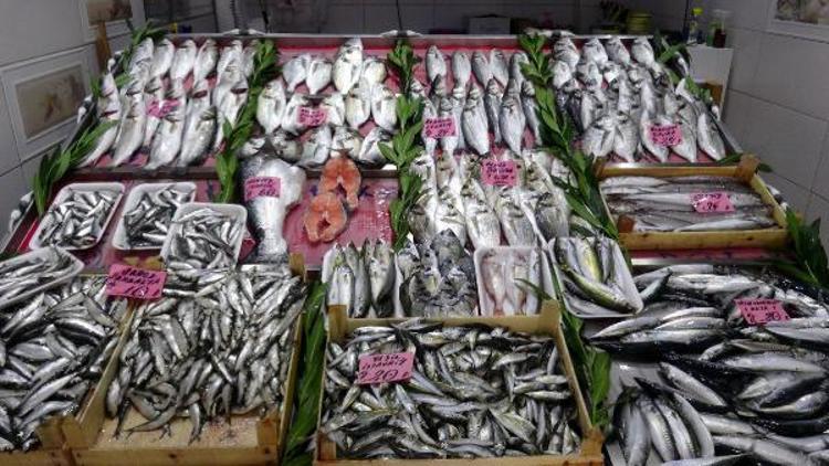 Çanakkalenin balıkçılık sorunları SÜR-KOOPa taşınacak