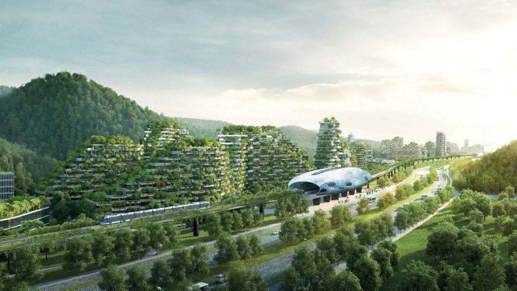 Çin ilk orman kentini inşaya hazırlanıyor