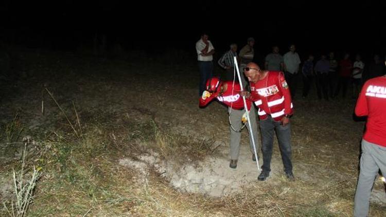 Kuyuda mahsur kalan 2 yaban domuzunu AKUT kurtardı