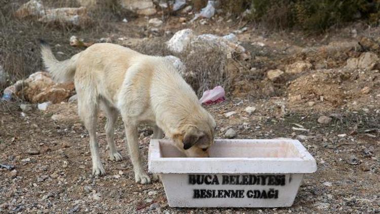 Can dostlar için sıcak önlemi