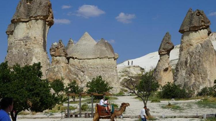 Nevşehirde deve turları