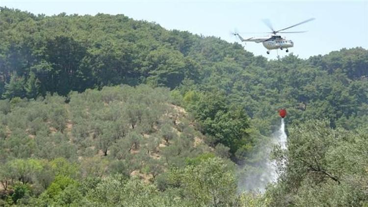 Kazdağlarında 4 noktada yangın... Korkunç şüphe...