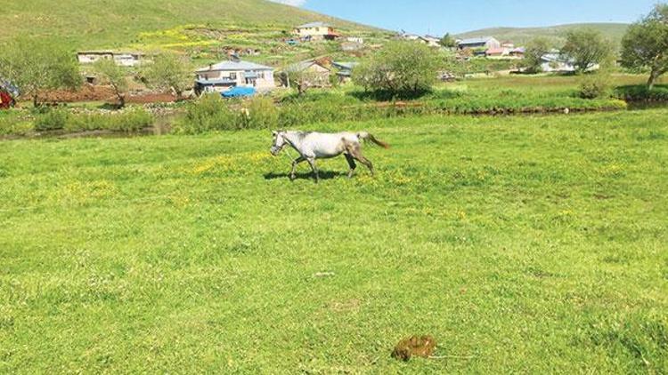 Elden ele şiirlerin dolaştığı bir köy