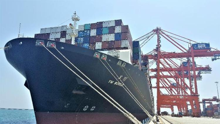 MIP Genel Müdürü Jol: Konteyner gemileri muhteşem bir büyüme gösterdi