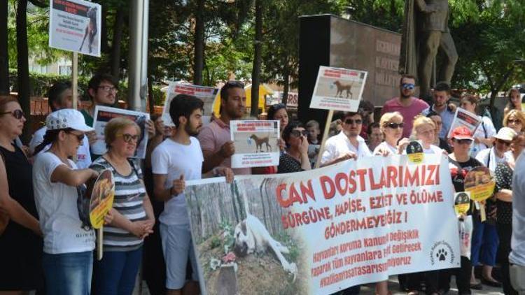 Edirnede hayvanseverler yeni yasa tasarını protesto etti (2)