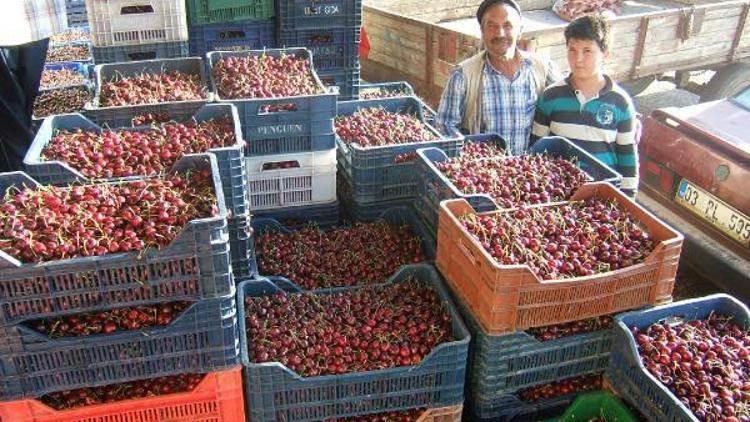 Çayda kiraz hasadı başladı