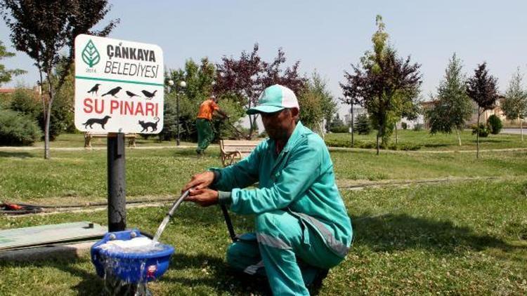 Soktaki dostlar için su uyarısı