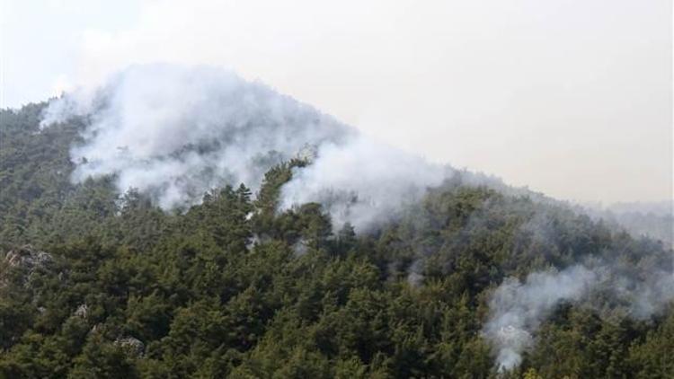 İzmirden son dakika haberi... Yangına müdahale eden helikopter düştü