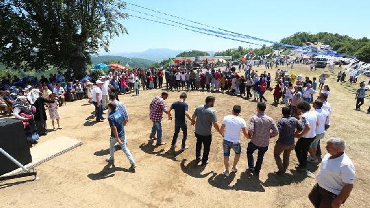 Canik Çileği’ne festivalli tanıtım