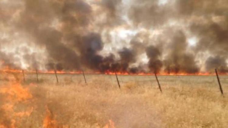 Suriye sınırındaki mayınlı alanda yangın