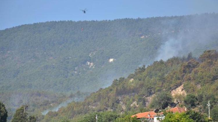 Denizlideki orman yangında söndürme çalışmaları sürüyor