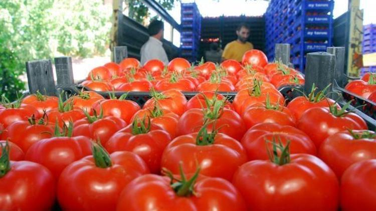 Antalya sos ihracatına hazırlanıyor