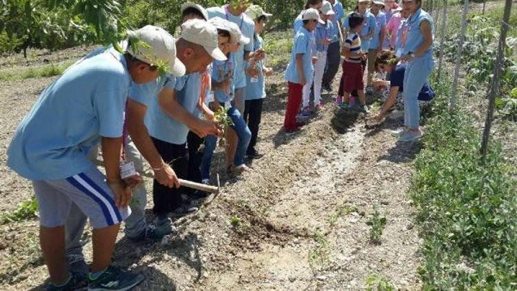 Muğlalı doktor, çocukları okçulukla tanıştırdı