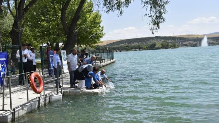Ankaradaki göl ve göletlere 34 bin Sazan yavrusu bırakıldı