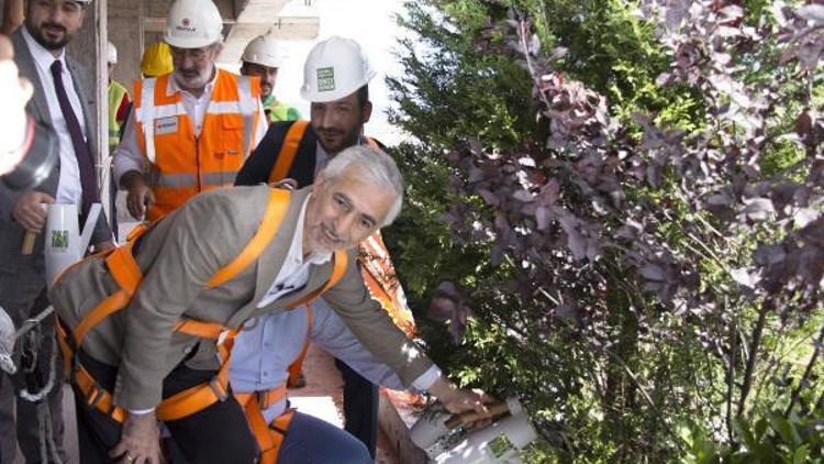 Türkiyenin ilk dikey orman projesinde ilk ağaç dikildi