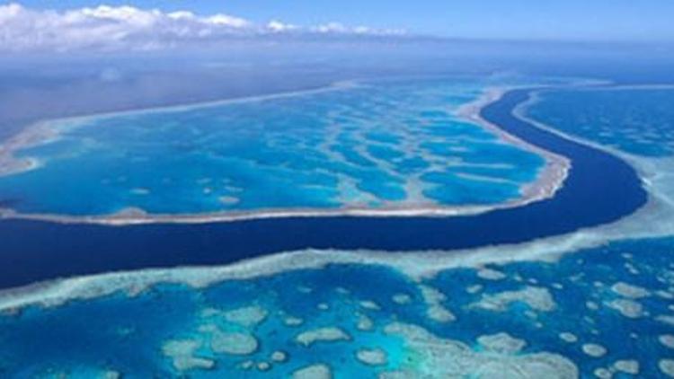 Büyük Set Resifi tehlike altındaki Dünya Miraslarına dahil edilmedi