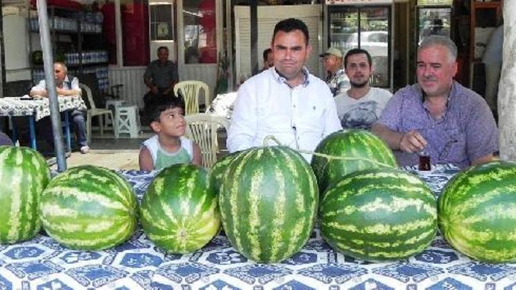 Ödemiş karpuzu müşteri bekliyor