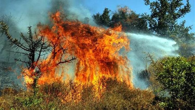 Bodrum’da korkutan yangın