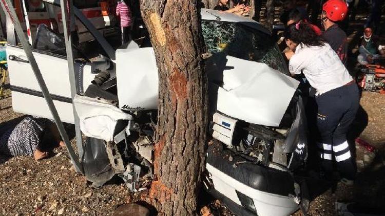 Otomobil ağaca çarptı: 7 yaralı