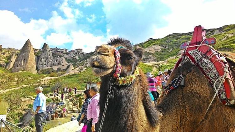 Japonların yeni gözdesi Kapadokya’da deve turu yapmak