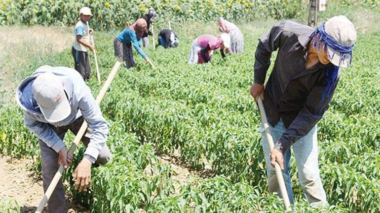 Yabancı işçiye tarla izni