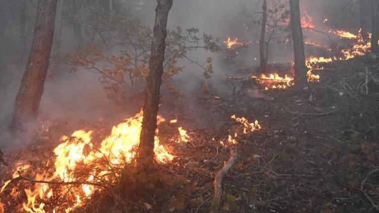 Sivasta 3 hektar ormanlık alan yandı