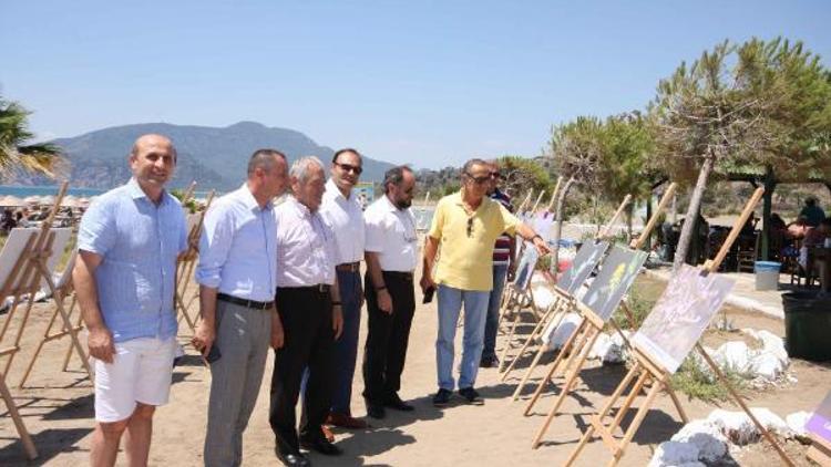 İztuzu Plajında endemik bitki ve hayvan fotoğrafları sergisi